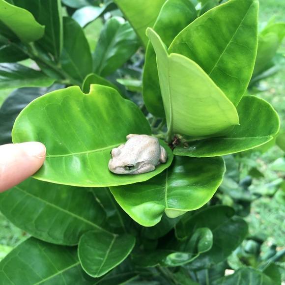 Meet your Posher, Gina - Picture 5 of 13